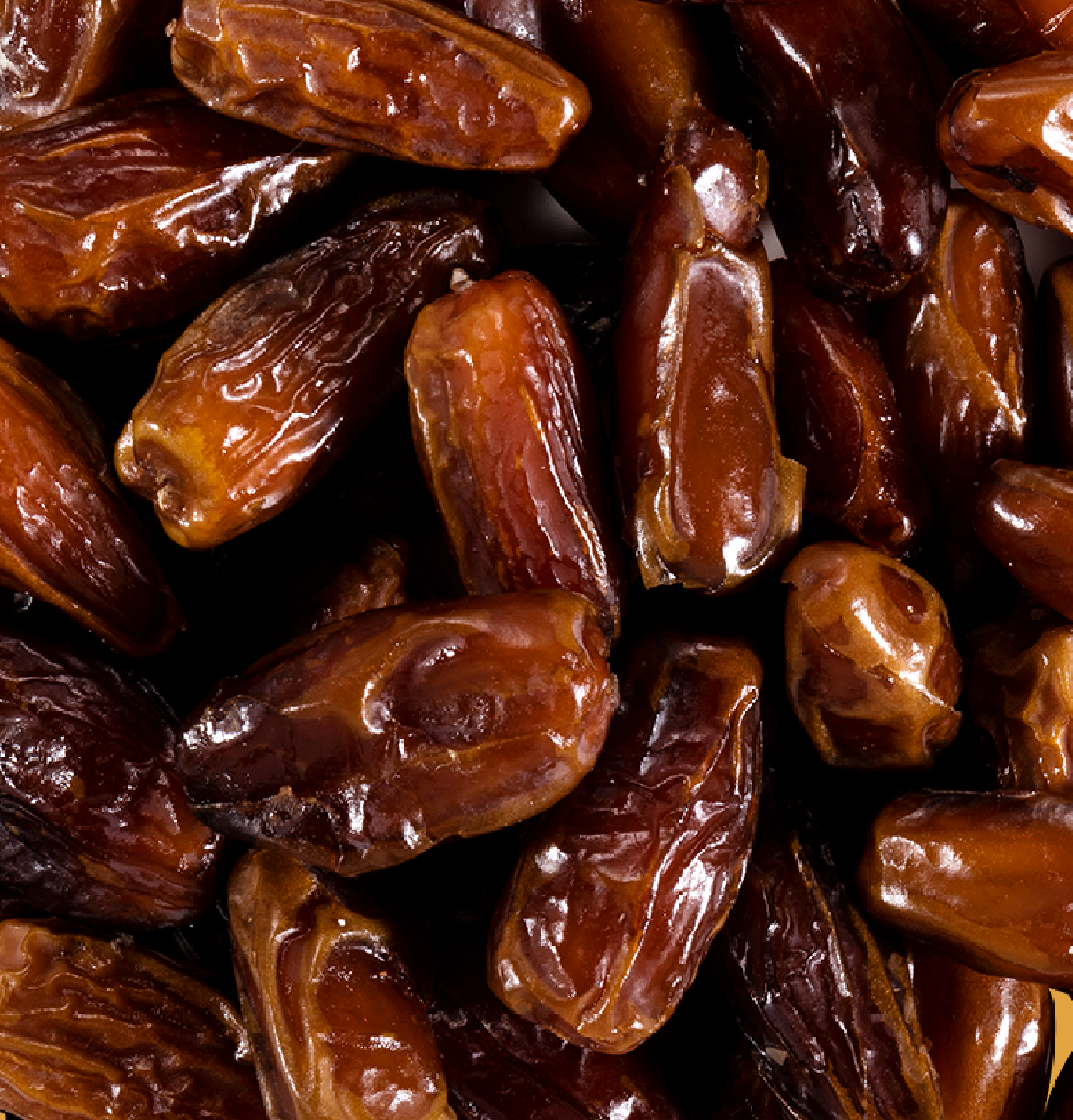 Dattes dénoyautées Déglet Nour Bio